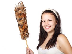 Preventing the Spread of Flu in Schools Through Effective Cleaning Methods